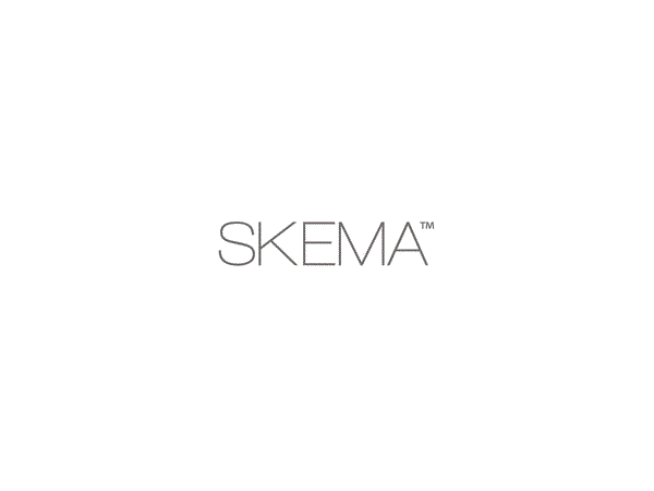  skema